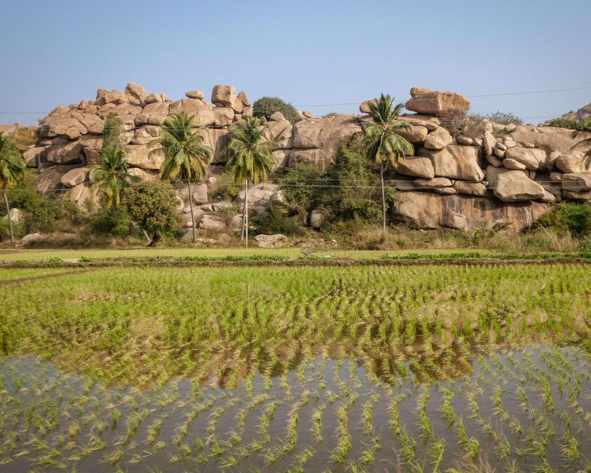 Hyatt Place Hampi Eksteriør billede